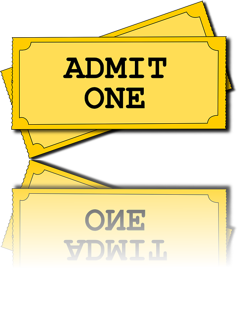 Zijn Bellewaerde tickets de moeite?